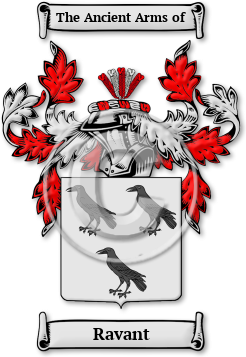 Ravant Family Crest Download (jpg) Legacy Series - 150 DPI