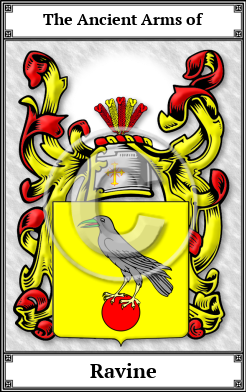Ravine Family Crest Download (JPG)  Book Plated - 150 DPI