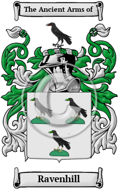 Ravenhill Family Crest/Coat of Arms