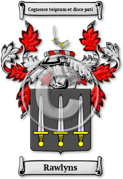Rawlyns Family Crest Download (jpg) Legacy Series - 150 DPI