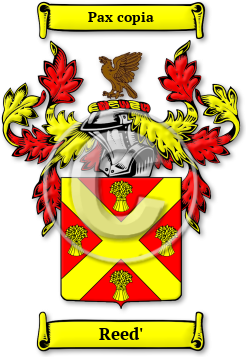 Reed' Family Crest Download (jpg) Legacy Series - 150 DPI