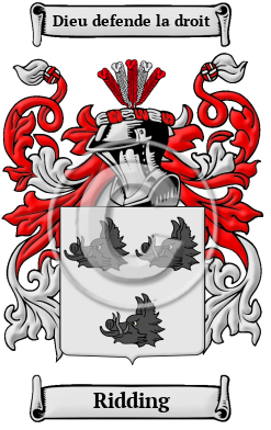 Ridding Family Crest Download (JPG) Heritage Series - 600 DPI