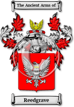 Reedgrave Family Crest Download (jpg) Legacy Series - 150 DPI