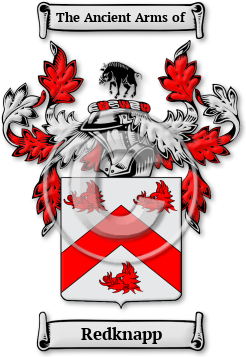 Redknapp Family Crest Download (jpg) Legacy Series - 150 DPI