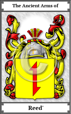 Reed' Family Crest Download (JPG)  Book Plated - 150 DPI