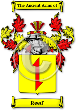 Reed' Family Crest Download (jpg) Legacy Series - 150 DPI