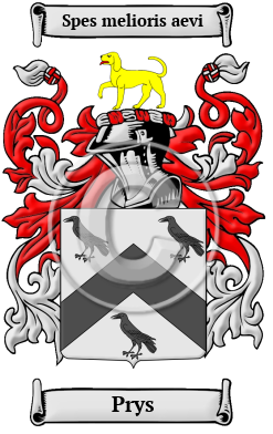 Prys Family Crest Download (JPG) Heritage Series - 600 DPI