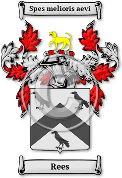 Rees Family Crest Download (jpg) Legacy Series - 150 DPI