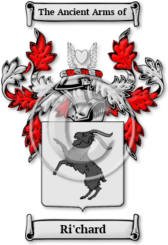 Ri'chard Family Crest Download (jpg) Legacy Series - 150 DPI
