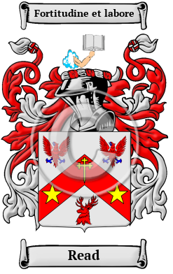 Read Family Crest Download (JPG) Heritage Series - 600 DPI