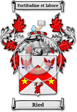 Ried Family Crest Download (JPG) Legacy Series - 600 DPI