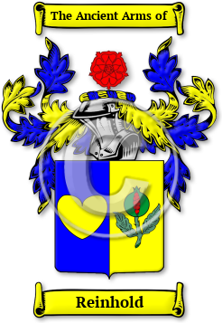 Reinhold Family Crest Download (JPG) Legacy Series - 600 DPI