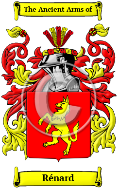 Rénard Family Crest Download (JPG) Heritage Series - 300 DPI