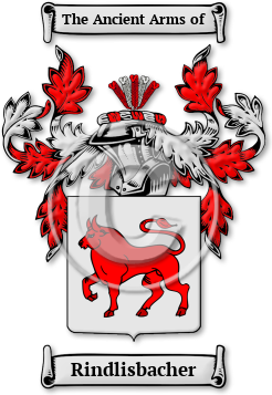Rindlisbacher Family Crest Download (jpg) Legacy Series - 150 DPI