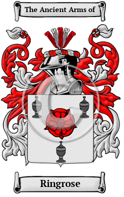 Ringrose Family Crest/Coat of Arms