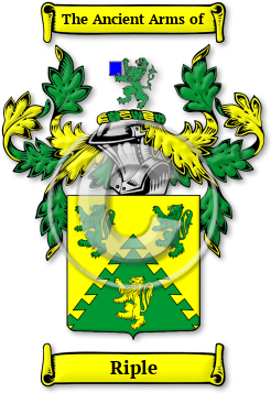Riple Family Crest Download (JPG) Legacy Series - 600 DPI