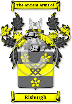 Risburgh Family Crest Download (jpg) Legacy Series - 150 DPI
