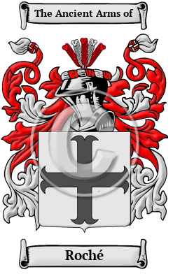 Roché Family Crest Download (JPG) Heritage Series - 300 DPI