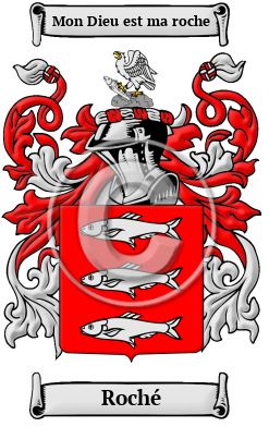 Roché Family Crest/Coat of Arms
