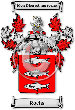 Rochs Family Crest Download (jpg) Legacy Series - 150 DPI