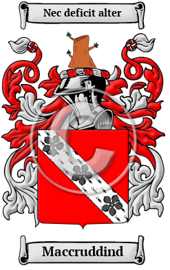 Maccruddind Family Crest/Coat of Arms