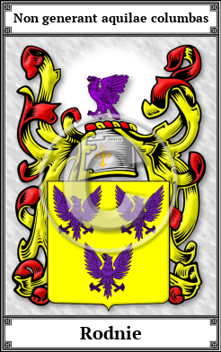 Rodnie Family Crest Download (JPG)  Book Plated - 150 DPI