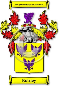 Rotney Family Crest Download (jpg) Legacy Series - 150 DPI
