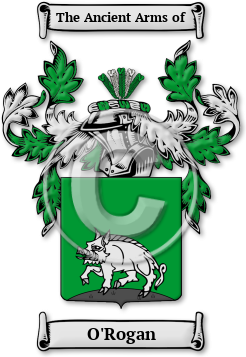 O'Rogan Family Crest Download (JPG) Legacy Series - 600 DPI