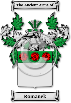 Romanek Family Crest Download (jpg) Legacy Series - 150 DPI