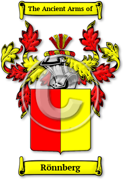 Rönnberg Family Crest Download (jpg) Legacy Series - 150 DPI