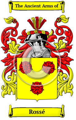 Rossé Family Crest Download (JPG) Heritage Series - 300 DPI