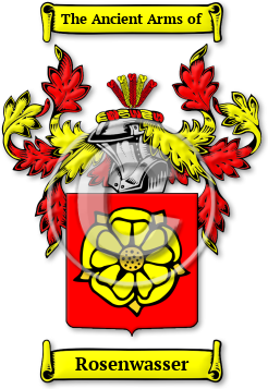 Rosenwasser Family Crest Download (jpg) Legacy Series - 150 DPI
