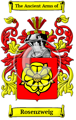 Rosenzweig Family Crest/Coat of Arms