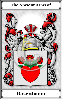 Rosenbaum Family Crest Download (JPG)  Book Plated - 150 DPI