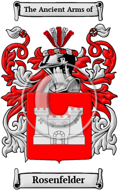Rosenfelder Family Crest Download (JPG) Heritage Series - 600 DPI