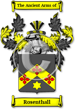 Rosenthall Family Crest Download (jpg) Legacy Series - 150 DPI