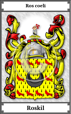 Roskil Family Crest Download (JPG)  Book Plated - 150 DPI
