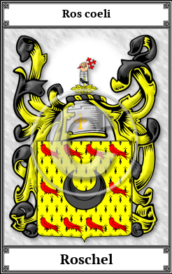 Roschel Family Crest Download (JPG)  Book Plated - 150 DPI