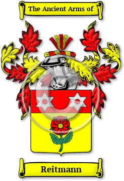 Reitmann Family Crest Download (jpg) Legacy Series - 150 DPI