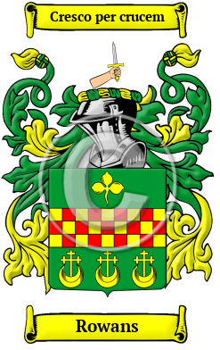 Rowans Family Crest Download (JPG) Heritage Series - 600 DPI