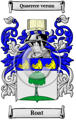 Roat Family Crest Download (JPG) Heritage Series - 600 DPI