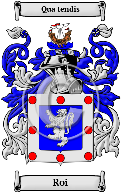 Roi Family Crest Download (JPG) Heritage Series - 600 DPI