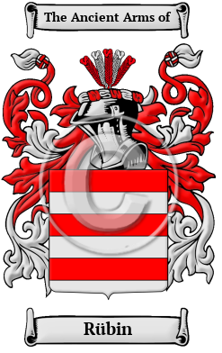 Rübin Family Crest Download (JPG) Heritage Series - 300 DPI