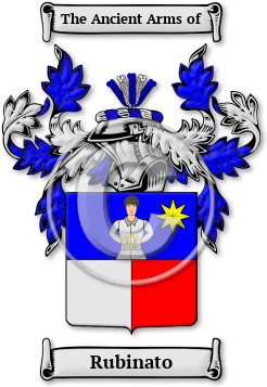 Rubinato Family Crest Download (jpg) Legacy Series - 150 DPI