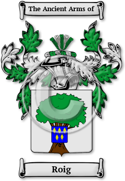 Roig Family Crest Download (JPG) Legacy Series - 600 DPI