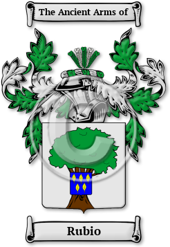Rubio Family Crest Download (jpg) Legacy Series - 150 DPI