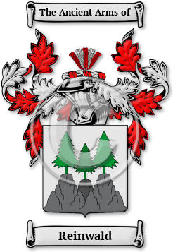 Reinwald Family Crest Download (JPG) Legacy Series - 600 DPI