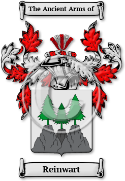 Reinwart Family Crest Download (jpg) Legacy Series - 150 DPI