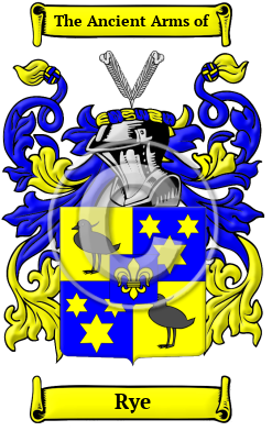 Rye Family Crest Download (JPG) Heritage Series - 600 DPI