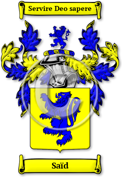 Saïd Family Crest Download (jpg) Legacy Series - 150 DPI